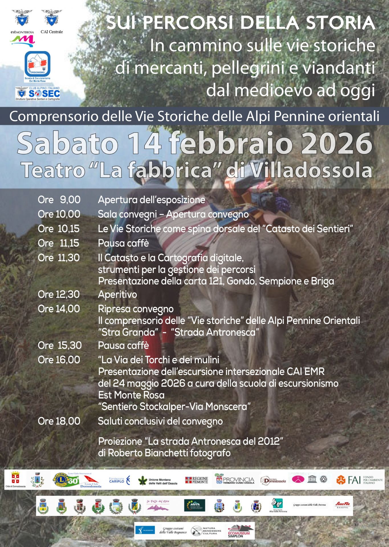 uomo e asino di spalle percorrono un sentiero di montagna