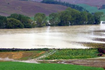 Procedure per il Ristoro Danni Calamit&#224; Eventi Meteorologici dal 15-17 aprile 2025